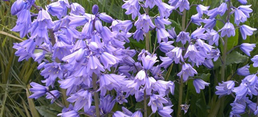 f0fce68b93cc8c46e971a6b027dc670f.jpg