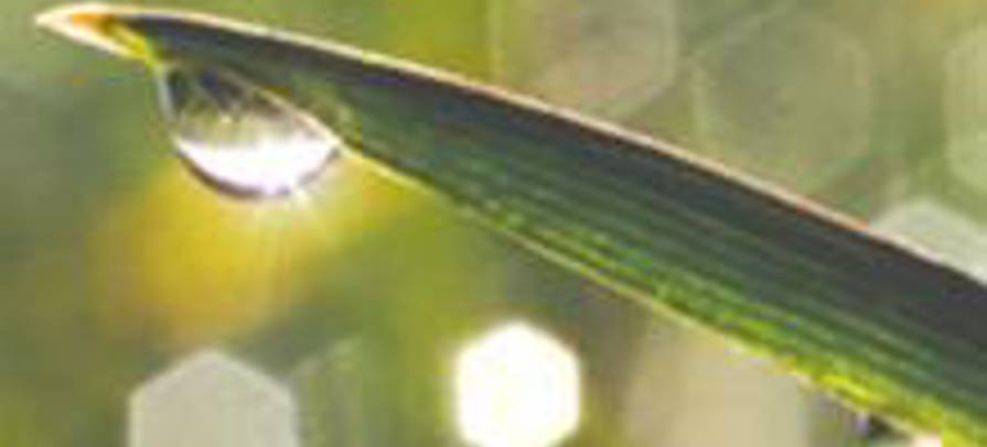 d2e2982681678e5713f0722c06cca061.jpg