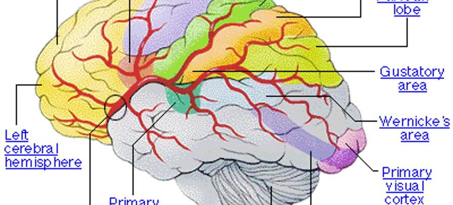 cc4e0bba3da958d5999e792624ccd00b.gif