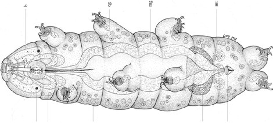 c26ecda67a876e70e246a71f47181716.JPG