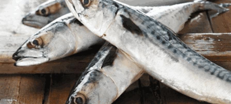 0283fe5c3cf53eb047c558a655f663ba.gif