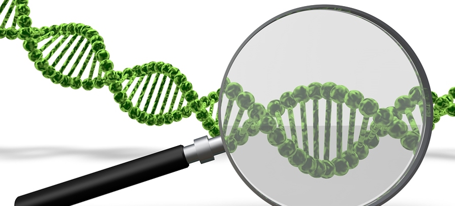 DNA lesiglas