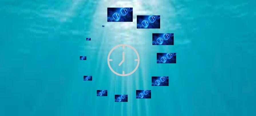 DNA í havinum.PNG