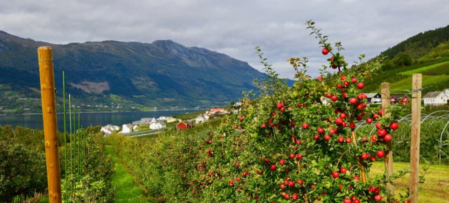 nordforsk food security.png