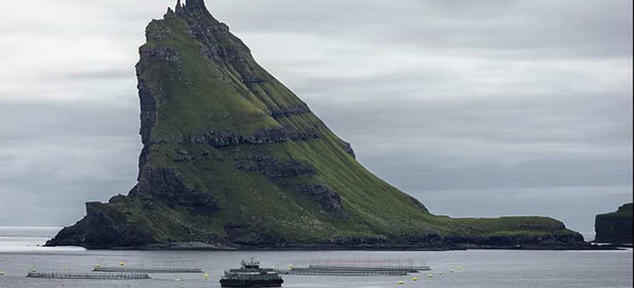 Tindholmur Iifet2026