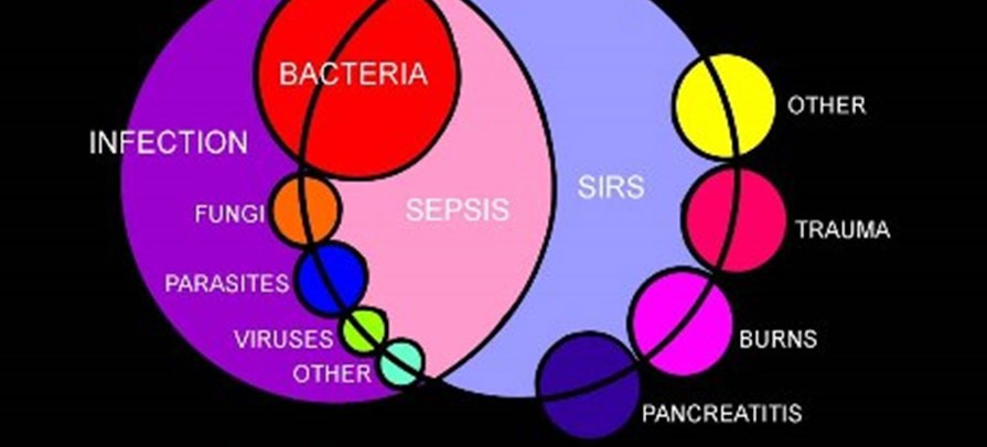 Shahin Gaini Sepsis.jpg (1)