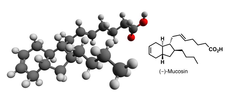Minus Mucosin.PNG