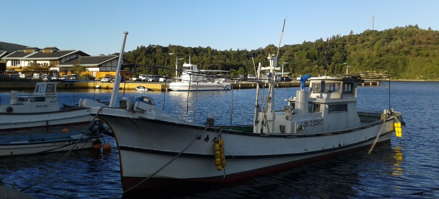 Boats Oki grein Firouz.jpg