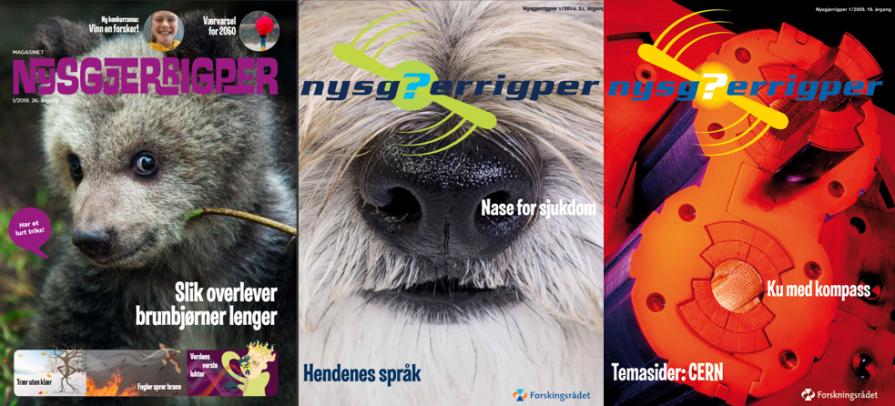 Nysgjerrigper í 10 ár.PNG
