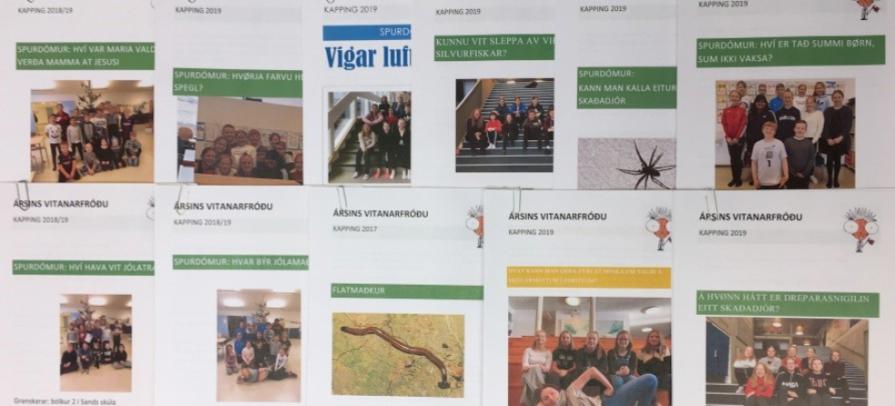 Ársins Vitanarfróðu 2018-19.PNG