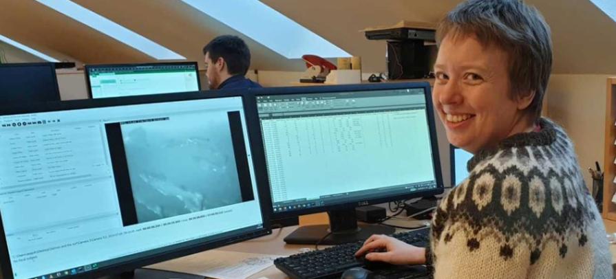 Ása Johannesen Webinar