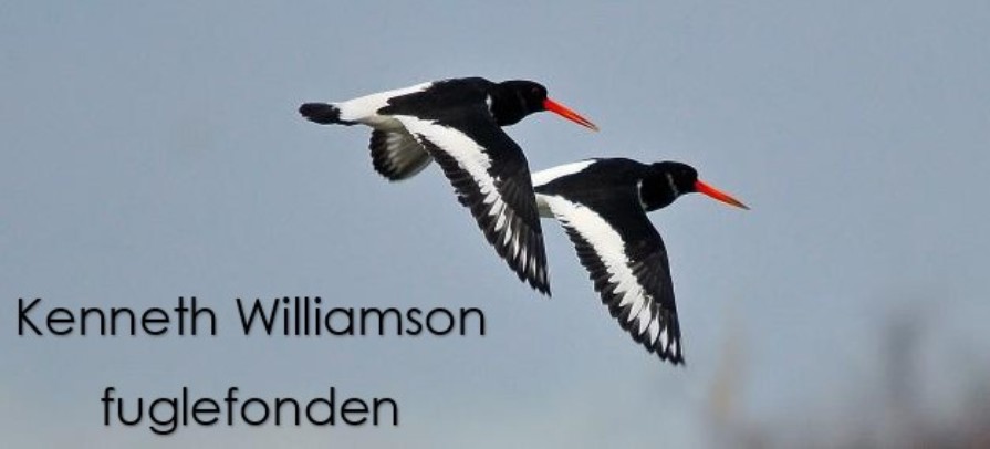 KW Fuglefonden