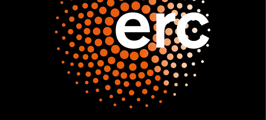 Erc Stuðul