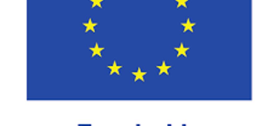 EU Logo