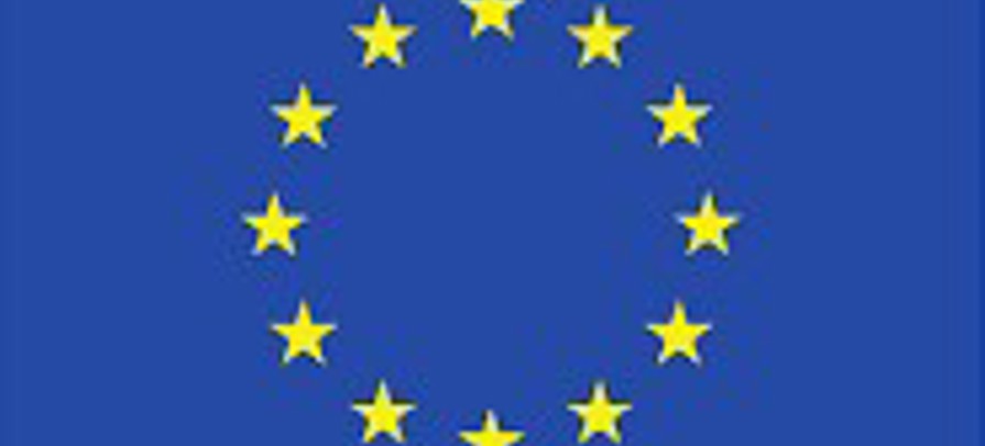 EU Flag
