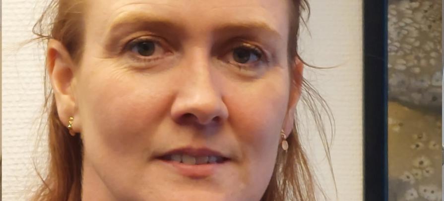 Annbjorg