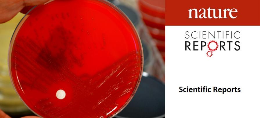 Streptococcus B