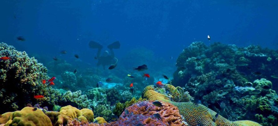Law Of The Sea