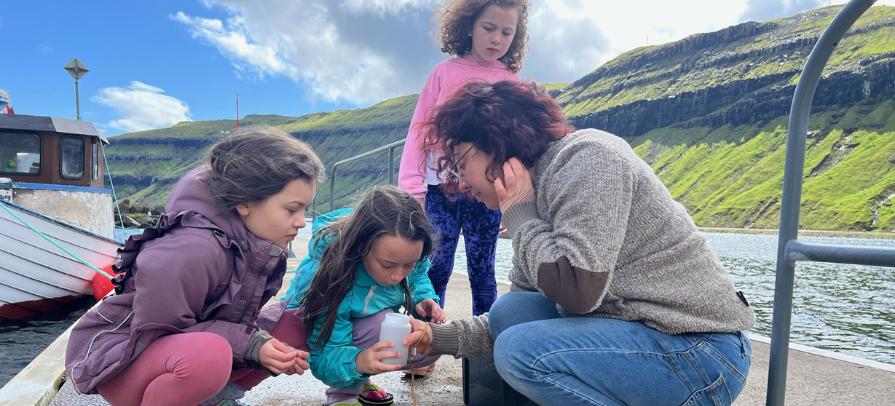 Hvalspyggjur I Kaldbak