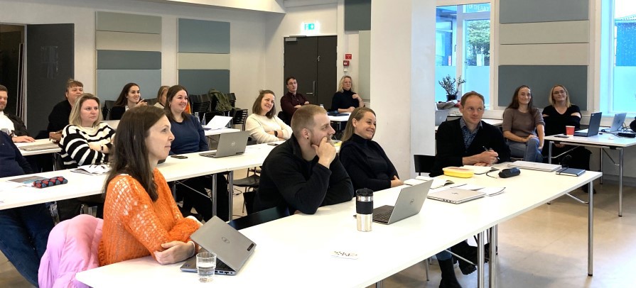 Phd Skeid I Granskingaretikk