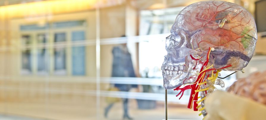 Jesse Orrico Freerangestock