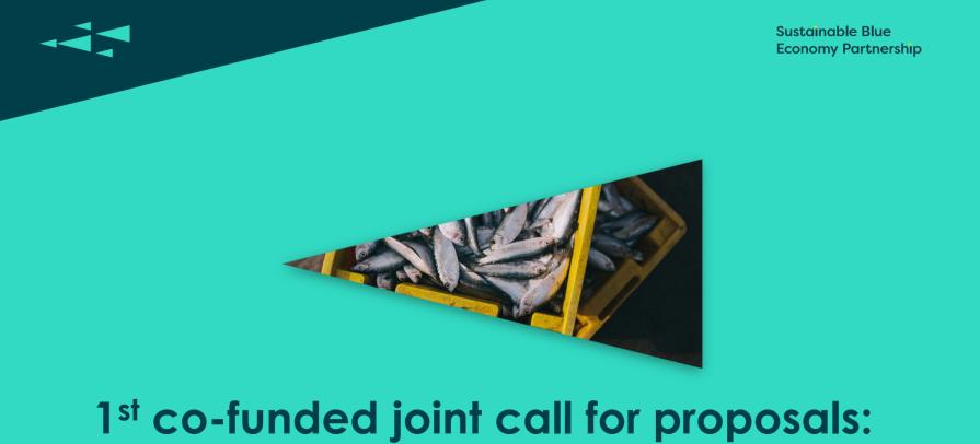 SBEP 1St Call For Proposals