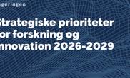 Donsk Strategiætlan