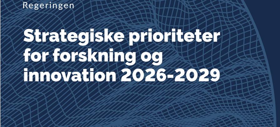 Donsk Strategiætlan